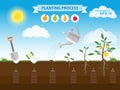 Vector infographic concept of planting process in flat design. How to grow tree from the seed in the garden easy step by step