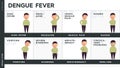 Vector infographic describing the symptoms of dengue fever. Character with dengue fever symptoms. Some of them: rashes, high fever