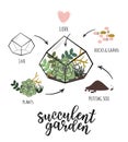 `Succulent garden` infographic