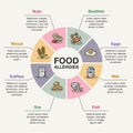 Food allergies infographic