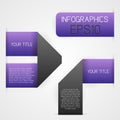 Vector infographics set