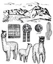 Vector ink hand drawn alpaca icon set