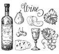 Vector ink hand drawn style white wine set Royalty Free Stock Photo