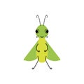 Vector insect,Grasshopper . Flat design for children. Cute cartoon kawaii funny Doodle character