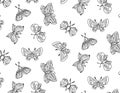 Vector insect moth pattern, line style illustration, doodle vector.