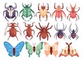 Vector insect set. Cute bugs, butterflies, moths and beetles. Hand drawn insects