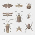Vector of insects group on white background. Insect. Animal. Royalty Free Stock Photo