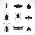 Vector of insects group on white background. Insect. Animal. Royalty Free Stock Photo