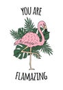 Vector Inspirational quote and hand drawn flamingo Royalty Free Stock Photo