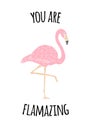 Vector Inspirational quote and sketch flamingo Royalty Free Stock Photo