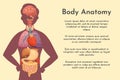 Vector internal organs collection in cartoon style. Anatomy of human body. Man biology organ: Heart, brain, lungs, liver Royalty Free Stock Photo