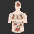 Vector internal organs stickers set