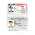 Vector international open passport with USA visa