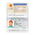 Vector international open passport with Vietnam visa Royalty Free Stock Photo