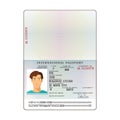 Vector international passport template with sample personal data page