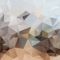 Vector irregular polygon square background - triangle low poly pattern - brown, beige, tan, sand, grey, white color