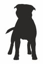 Vector isolated black silhouette of a dog English Staffordshire Bull Terrier. Royalty Free Stock Photo