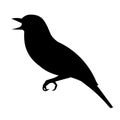Vector isolated black silhouette of a sitting and singing nightingale