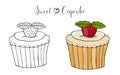 Vector isolated cake or cupcake, dessert with berry