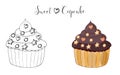 Vector isolated cake or cupcake, dessert with berry