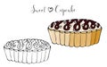 Vector isolated cake or cupcake, dessert coloring