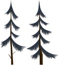 Vector isolated cartoon pine tree on white background. Coniferous forest plant. christmas tree Royalty Free Stock Photo