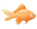 Vector isolated swimming cartoon marine goldfish