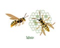 Vector isolated colorful illustration of two wasps in cartoon style
