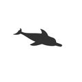 Vector isolated dolphin black Royalty Free Stock Photo
