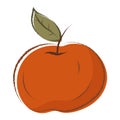Vector isolated doodle illustration of a red apple with a branch and a leaf. Royalty Free Stock Photo
