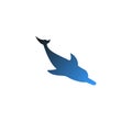 Vector isolated downward facing dolphin with nice gradient