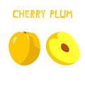 Vector isolated drawing of yellow cherry plum. Prunus cerasifera, alycha on a white background. Royalty Free Stock Photo