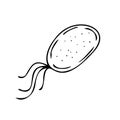 Vector isolated element, black and white bacterium without background hand-drawn Royalty Free Stock Photo