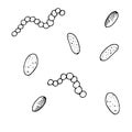 Vector isolated element, black and white bacterium without background Royalty Free Stock Photo