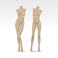 Vector Isolated Female Mannequin Royalty Free Stock Photo