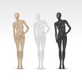 Vector Isolated Female Mannequin Royalty Free Stock Photo