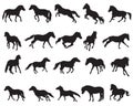 Set of isolated horses silhouettes-3