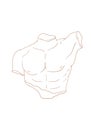 Vector isolated icon antique sculpture. Antique greek statue body. Linear icon greek male torso, male abs silhouette