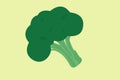Vector Isolated Illustration of Broccoli