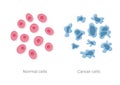 Cell structure: normal and cancer