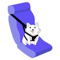 Vector isolated illustration with dog in car, which is securely fastened with special seat belts.