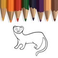 Ferret animal coloring page.