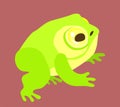 Vector isolated illustration of frog Royalty Free Stock Photo