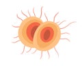 Vector isolated illustration of gonorrhea pathogen under a microscope.