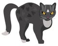 Vector isolated illustration of grey cat with bright yellow eyes. Royalty Free Stock Photo