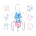 Vector isolated illustration of human microbiota