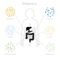 Vector isolated illustration of human microbiota