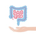 Vector isolated illustration of large and small intestine Royalty Free Stock Photo