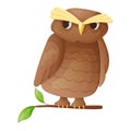 Vector isolated illustration of an owl sitting on a branch. Wise and smart cartoon forest bird