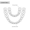 Vector isolated illustration of tooth